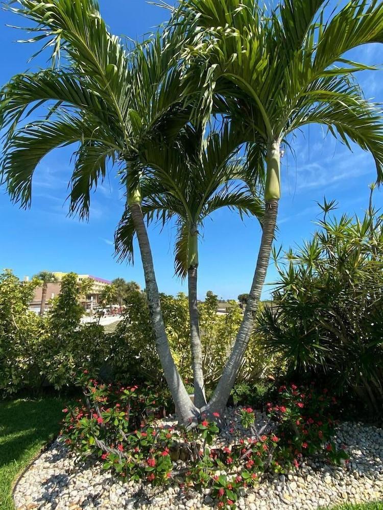 Beachside Resort Motel St. Pete Beach Luaran gambar